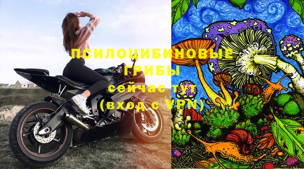 таблы Новодвинск