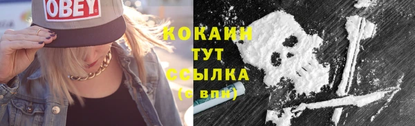 спайс Новозыбков