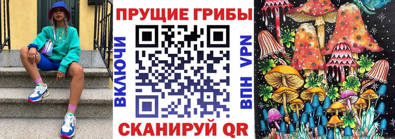 Псилоцибиновые грибы мухоморы  хочу наркоту  Абинск 