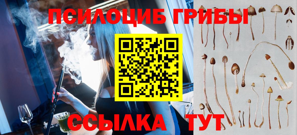 Галлюциногенные грибы Psilocybine cubensis Абинск
