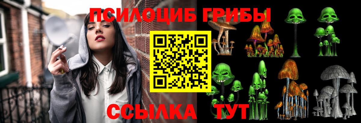 Галлюциногенные грибы MAGIC MUSHROOMS  Вход с VPN  Галлюциногенные грибы Psilocybine cubensis  Абинск 